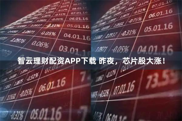 智云理财配资APP下载 昨夜，芯片股大涨！