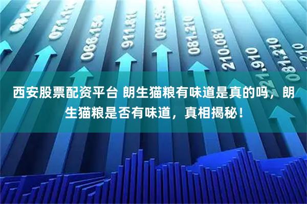 西安股票配资平台 朗生猫粮有味道是真的吗，朗生猫粮是否有味道，真相揭秘！