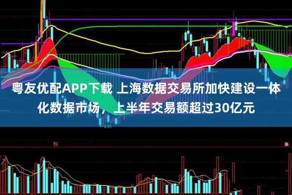 粤友优配APP下载 上海数据交易所加快建设一体化数据市场，上半年交易额超过30亿元